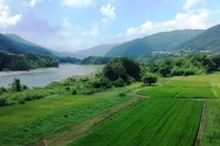 2013年の注目色「緑」の心理効果 タイ 画像