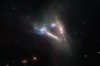 ハッブル宇宙望遠鏡が宇宙の