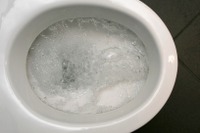 タイ政府が「トイレ開発計画」、家庭で9割洋式に 画像