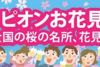 マピオン、全国の桜の名所を紹介する2013年花見特集をリリース 画像