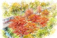 南海、高野山ケーブルカー沿線でテーマ別の植樹を実施 画像
