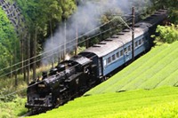 大井川鉄道、ホーム旧形客車オハニ36形の荷室をリニューアル 画像