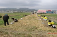 島原鉄道の廃線跡をヒマワリ畑に……地元住民など種まき 画像