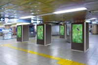 東京メトロ、4駅で「メトロ・コンコース・ビジョン」による広告配信開始 画像