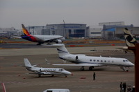アシアナ航空、東京ーソウル間に貨物定期便…4月から 画像