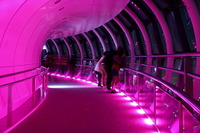 東京スカイツリー、夜桜空花見をイメージした桜特別ライティング 4月10日まで 画像