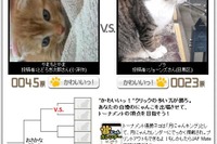 JAF、世界一かわいいっ!猫ごよみ作ろうプロジェクト…参加者募集 画像