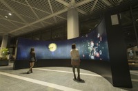 成田空港、アート作品をデジタルサイネージで提供…チームラボと連携 画像