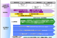 ANA2013~2015年度グループ中期経営戦略を策定、国際線ネットワークを戦略的拡大 画像