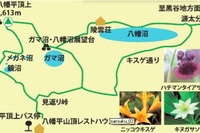 岩手県北バス、盛岡～八幡平を結ぶ自然散策夏号、6月29日より運行開始 画像