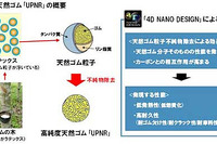 住友ゴム、低燃費と耐摩耗を両立した高純度天然ゴムを開発 画像