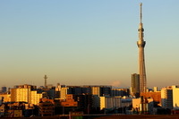 東京スカイツリー開業から1年…駐車場や給油所は売上アップ 画像