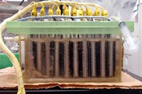 NEDOと東京薬科大など、廃水処理能力も申し分のない微生物燃料電池装置を開発 画像