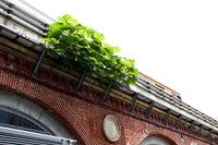 旧万世橋駅、赤レンガから生える雑草…大正期からの鉄道事情が随所に 画像