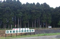 青い森鉄道、野辺地の鉄道防雪林120周年を記念してライトアップ…8月15~17日 画像