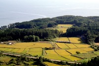 【読者だより】田園地帯を往く五能線の気動車 画像