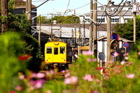 銚子電鉄、車両不足で大幅減便のダイヤ改正…11月21日 画像