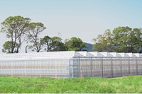 デンソー、国内農地向け生産支援システムを開発 画像