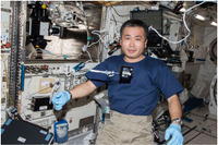 ISS「きぼう」日本実験棟で、「アニソチューブル実験」を開始 画像