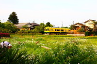 いすみ鉄道で脱線事故…一部区間で運休 画像