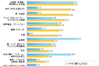 消費増税前、購入済み商品トップは「自動車」…ビデオリサーチ調べ 画像
