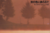 今が見頃、義経のふるさと 画像