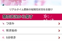 インクリメントP、スマホ向けMapFanでお花見特集を公開 画像