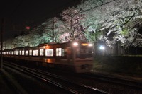 新京成電鉄、陸自の桜並木をライトアップ 画像