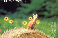 100円ライターでクルマ全焼、こんなにカンタン? 画像