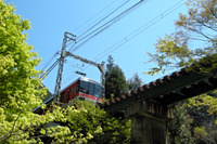 叡電「青もみじのトンネル」で徐行運転…秋の名所を新緑でも 画像