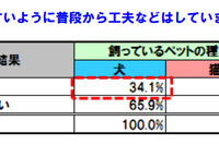 ペットとドライブ、約3割の飼い主が工夫をしていると回答 画像