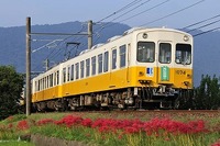 ことでん、GWに琴平線車両を長尾線で、長尾線車両を琴平線で「特別運行」 画像