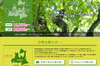 ウィラートラベル、世界自然遺産を楽しむ「白神山地ツアー」の販売開始 画像