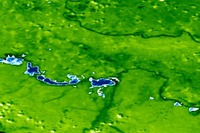 JAXA、「いぶき」のバルカン半島洪水観測画像を公表 画像