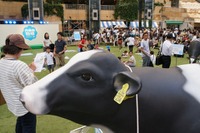 カクテル?ワイン?…いや、六本木には牛乳が似合う! 画像