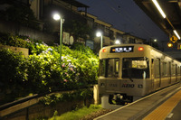 京王井の頭線、6月9日から恒例のアジサイライトアップ…東松原駅構内 画像