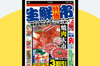 電子チラシサービス Shufoo! と地図検索サイト Mapion が連携 画像