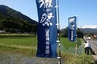 栽培しにくい日本酒米をクラウドで支援…富士通が日本酒を変える 画像