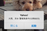 いち早く警報をキャッチ…Yahoo!が気象警報のプッシュ通知開始 画像