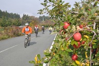 洋梨がふるまわれる、山形の自転車イベント…ツール・ド“ラ・フランス“ 画像