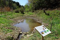 ホンダ、グローバル500気候変動レポートで満点…4年連続でCDLIに 画像