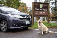 ホンダ オデッセイで愛犬と訪れる軽井沢…純正ペット用アクセサリーも活躍 画像