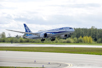 ANAセールス、窓の大きい 787-9型機 で初の「初日の出フライト」 画像