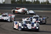 【WEC 第7戦】トヨタ、デビッドソン&ブエミがドライバーズタイトル獲得 画像