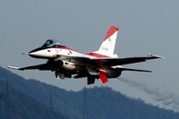 激しい機動飛行に異機種の大編隊…岐阜基地航空祭が開催 画像