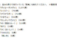 2014年、女子中高生の間で流行った言葉は? 画像