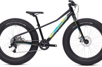 極太タイヤMTB「FATBOY」に限定モデル…キッズタイプも 画像