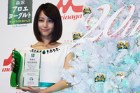 堀北真希、ヨーグルトのような純白ドレス姿を披露「クリスマスの予定は…」 画像