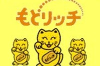 安くて補償の大きな保険は無理。三井・住友が新会社で発売する保険とは 画像