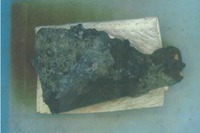 名古屋港東航路で磁気探査を実施…不発弾発見で 画像